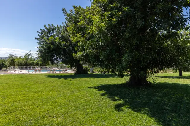 Quinta da Capelinha — garden