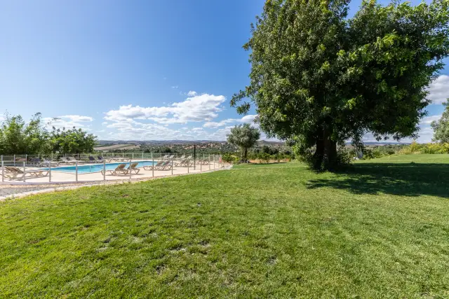 Quinta da Capelinha — garden