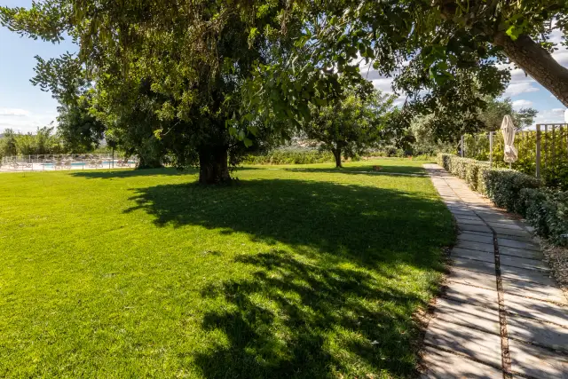Quinta da Capelinha — garden